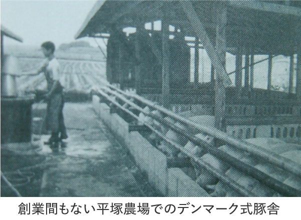 創業間もない平塚農場でのデンマーク式豚舎