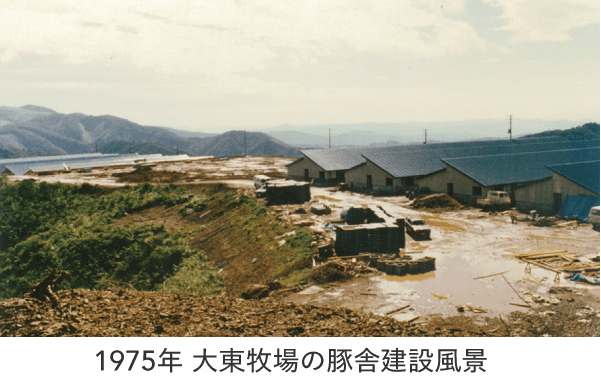 1975年 大東牧場の豚舎建設風景