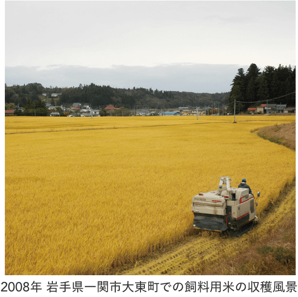 2008年 岩手県一関市大東町での飼料用米の収穫風景